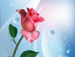 Pink Rose