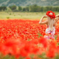 Poppy Field