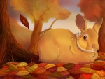 Rabbit in autumn leaves