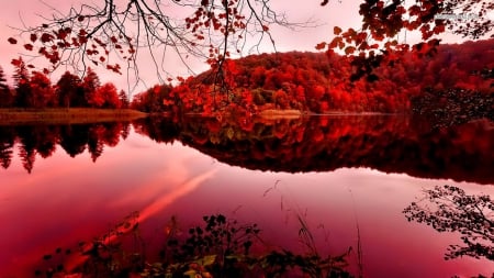 Red Autumn Lake - red, lakes, forests, photography, trees, sunset, nature, autumn