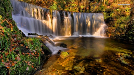 Waterfall in the Autumn Forest - nature, autumn, forests, trees, waterfalls