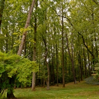 The Great Outdoors