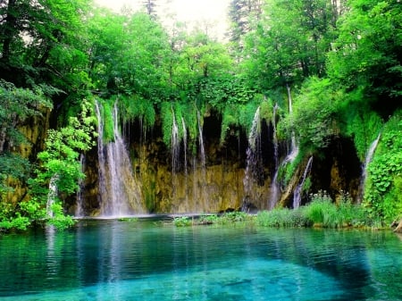 Forest waterfalls - lake, cascades, forest, reflection, beautiful, green, waterfalls, rocks