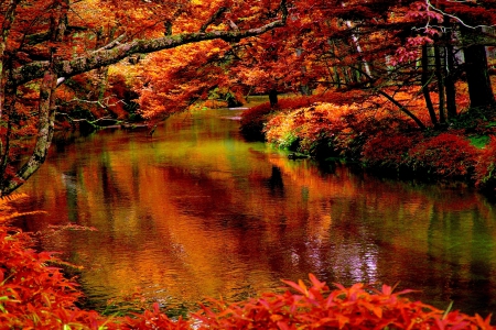 AUTUMN RIVER - river, nature, season, autumn, forest