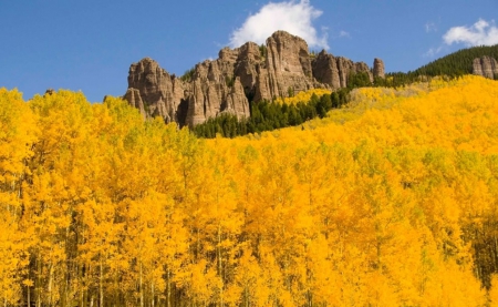 Golden Aspens below the Mountains, Colorado - fall, usa, rocks, trees, color, autumn