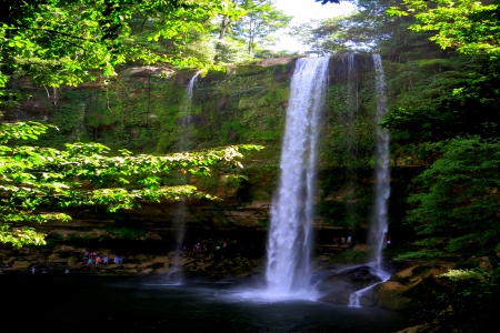 FOREST WATERFALLS - waterfalls, nature, green, rock, forest