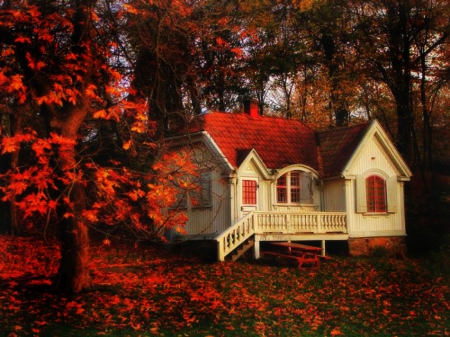 House sitting by the woods - cottage, autumn, colorful leaves, trees