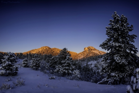 Mountains - winter - winter, mountains, forest, trees