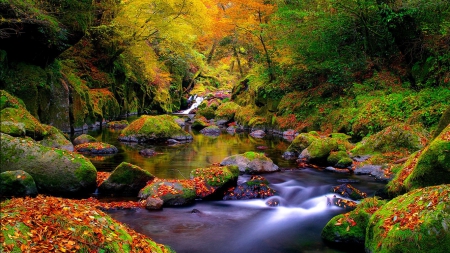 Forest river in autumn - autumn, cascades, trees, stream, lovely, waterfall, foliage, creek, serenity, nature, fall, calmness, forest, beautiful, river, colors