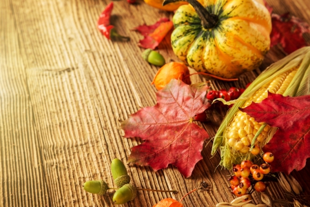 Autumn Harvest - wood, fall, autumn, harvest, leaves