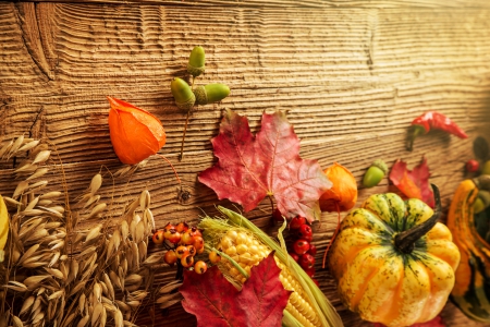 Autumn Harvest - wood, fall, autumn, harvest, leaves