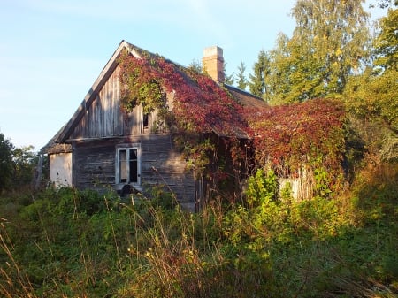 Old house by sunset. - sunsets, nature, fields, other