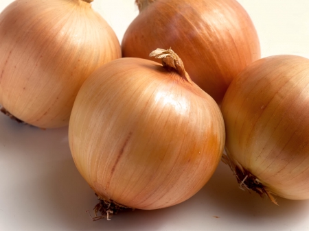 onions - four, vegetable, brown, onion