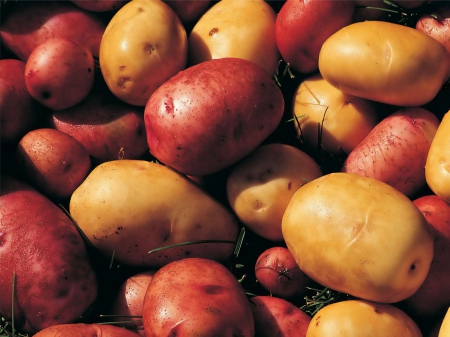 potatoes - red, brown, potatoes, vegetable