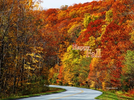 ♥ Happy Fall ♥ - fall leaves, forest, nature, autumn