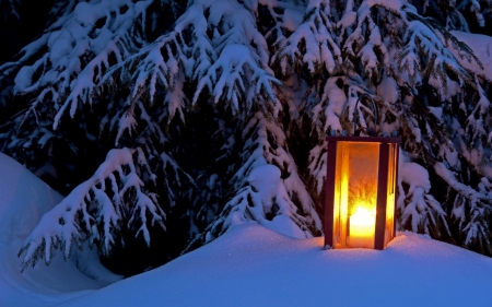 Winter - trees, snow, night, mountain, lantern