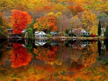 Majestic Nature - trees, beautiful, majestic, forest, reflection, orange, village, fall, nature, autumn, red, breathtaking, lake, seasons