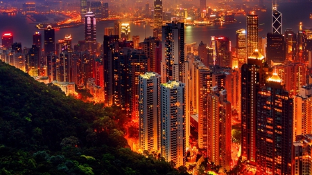 Hong Kong Night Cityscape - hong kong, skyscrapers, hong kong night cityscape, cityscape, architecture