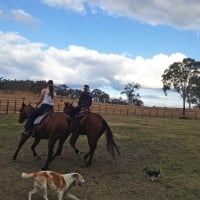 Cowgirls On Horseback