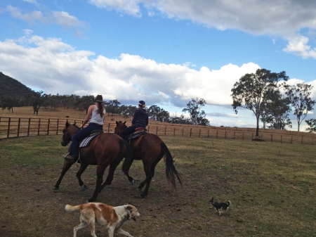 Cowgirls On Horseback - boots, horse, hat, cowgirl