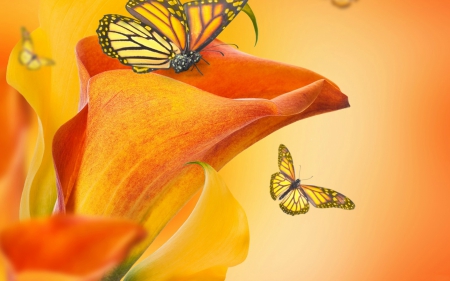 Calla Lily and Butterflies - butterflies, calla, lily, calla lily, spring, orange