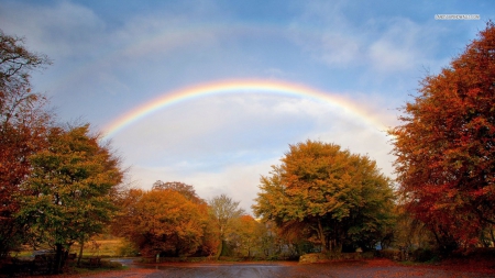 Autumn Rainbow in the Park - nature, autumn, trees, rainbows, park