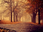 Old Cemetery in the Fall