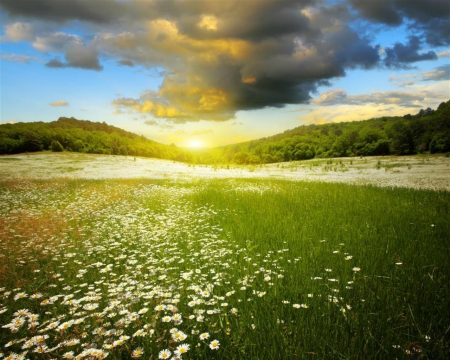 Beautiful Scenery - sky, nature, landscape, grass