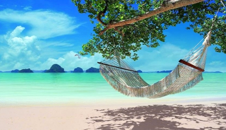 Summer rocking - water, summer, hammock, sea, ocean, tree