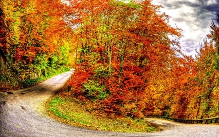 AUTUMN LANDSCAPE with COLORFUL LEAVES - splendor, landscape, leaves, fall, nature, autumn, seasons, pathway, sky