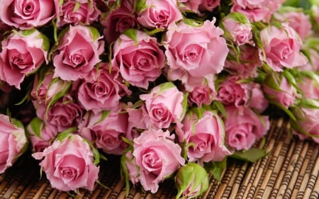 Beautiful pink rosses - flowers, beautiful, still life, pink roses