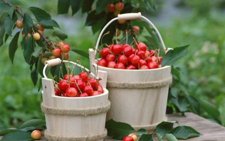 Buckets of fruits - food, fruits, red, buckets