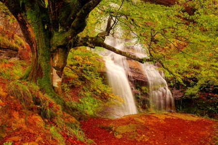 Autumn waterfall - branches, autumn, trees, lovely, waterfall, foliage, serenity, nature, fall, calmness, forest, beautiful, leaves, colors