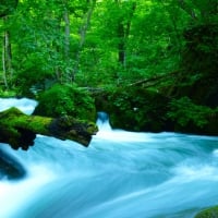 Oirase Mountain Stream in Japan - I