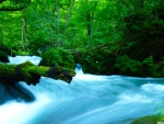 Oirase Mountain Stream in Japan - I