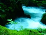 Oirase Mountain Stream in Japan - II