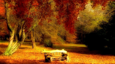 Bench in Autumn Nature - leaves, colors, fall, trees