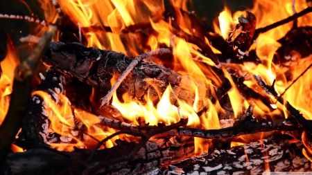 Burning Wood in Fireplace - burning wood in fireplace, fireplace, fire, photography