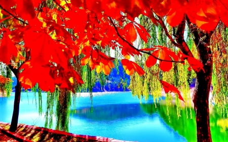 LAKE in the AUTUMN - nature, autumn, falls, splendor, landscape, lake, seasons, leaves