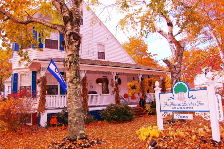 The Atlantic Birches Inn - fall, trees, season, autumn, colors, leaves