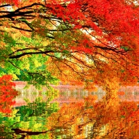 AUTUMN REFLECTION