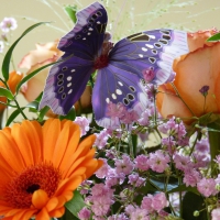 Butterfly On Birthday Bouquet