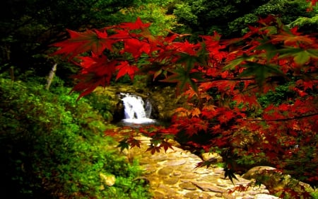 AUTUMN FALLS - forest, waterfalls, nature, season, autumn