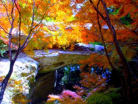 AUTUMN FOREST - stone, nature, autumn, forest, bridge