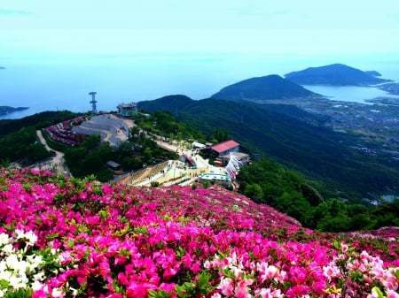 MOUNTAIN PARADISE - view, houses, mountain, flowers, road