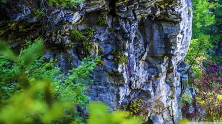 Rocky Cliff - rocky cliff, cliff, trees, nature