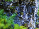 Rocky Cliff