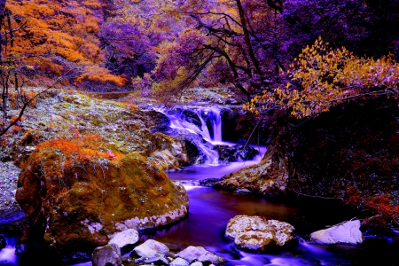 AUTUMN FALLS - nature, autumn, falls, forest