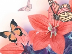 Flowers and Butterflies