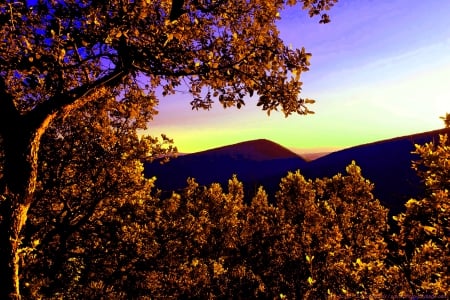 AUTUMN BEAUTY - leaves, autumn, mountain, trees